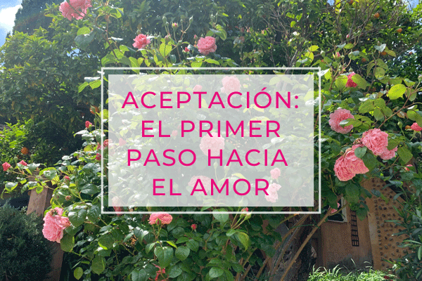 Aceptación: el primer paso hacia el Amor